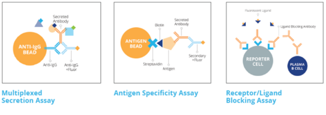 利来最给利的老牌(中国区)_利国国际w66