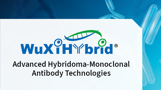 利来最给利的老牌(中国区)_利国国际w66