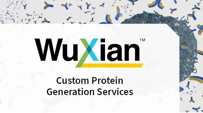 利来最给利的老牌(中国区)_利国国际w66