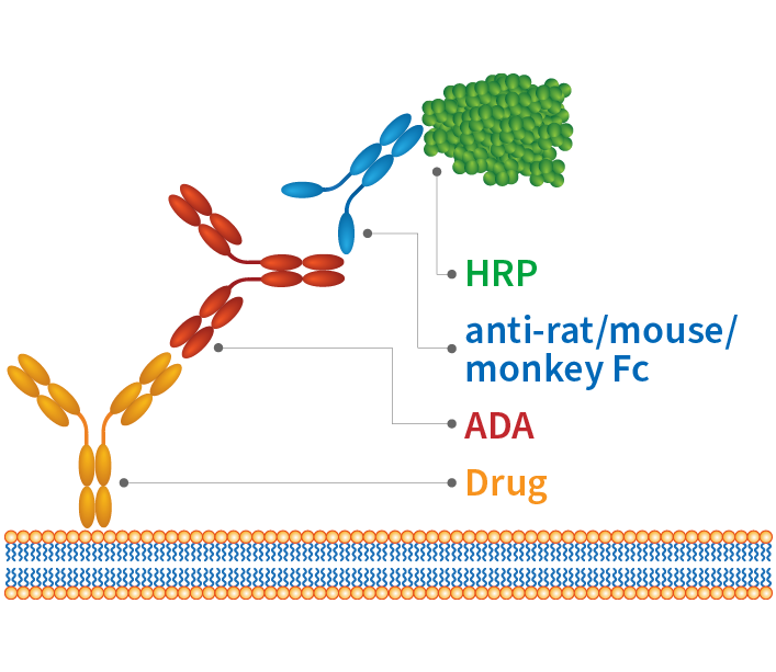 利来最给利的老牌(中国区)_利国国际w66